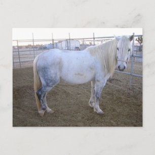 Postal Cartão de Posto Merlin