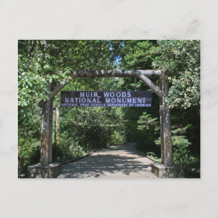 Postal Cartão de Posto Muir Woods