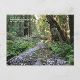 Postal Cartão de Posto Muir Woods