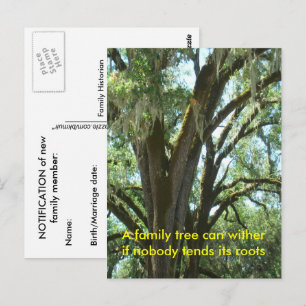 Postal Cartão de posto - Novo Membro da Família