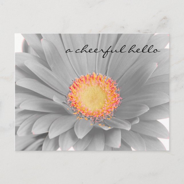 Postal Cartão de Posto Olá Cheio (Frente)