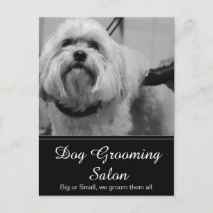 Postal Cartão de Posto para remoção de cães - Personalizá