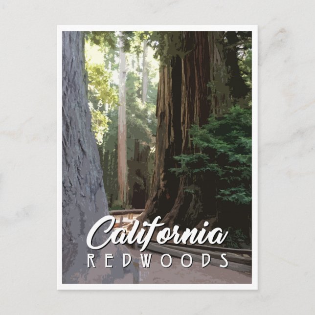 Postal Cartão de Posto para Sequoias da Califórnia (Frente)