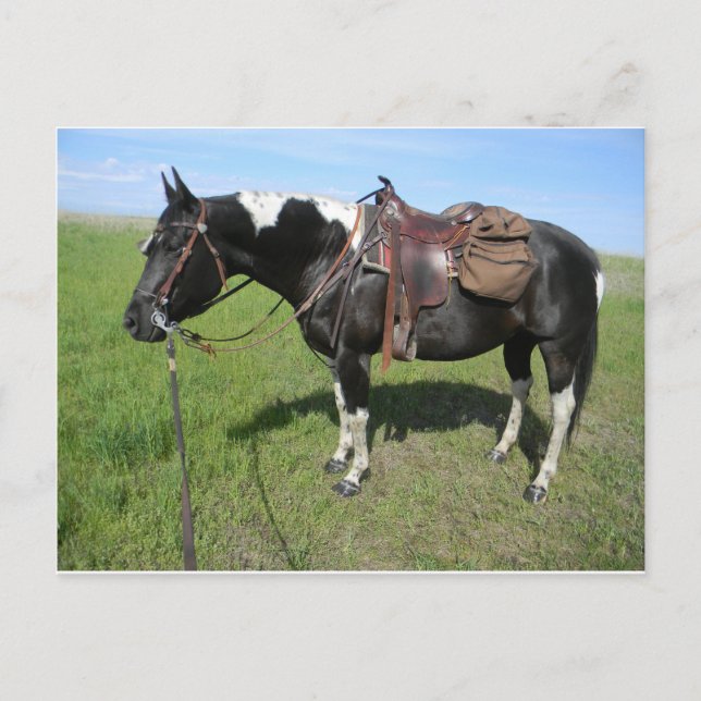 Postal cartão de posto pinto (Frente)