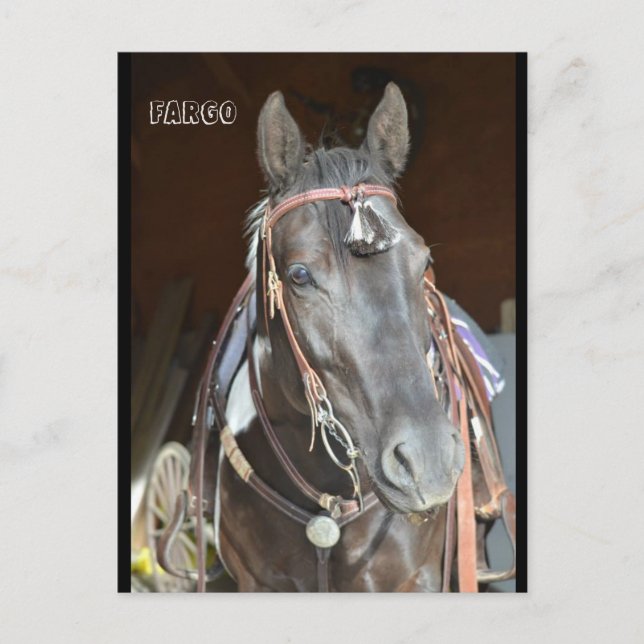Postal cartão de Posto pinto mare Fargo (Frente)