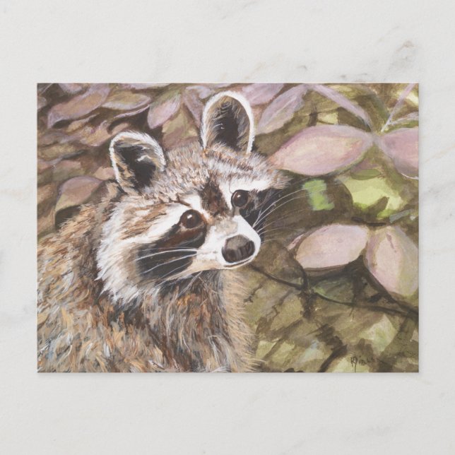 Postal Cartão de Posto Raccoon (Frente)