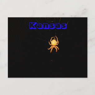 Postal Cartão de Posto Spider do Kansas Orb Weaver