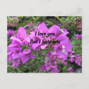 Postal Cartão de posto, Tamanho: Cartão-Postal Padrão, Pa