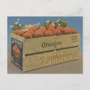 Postal Cartão de Posto Vintage California Orange