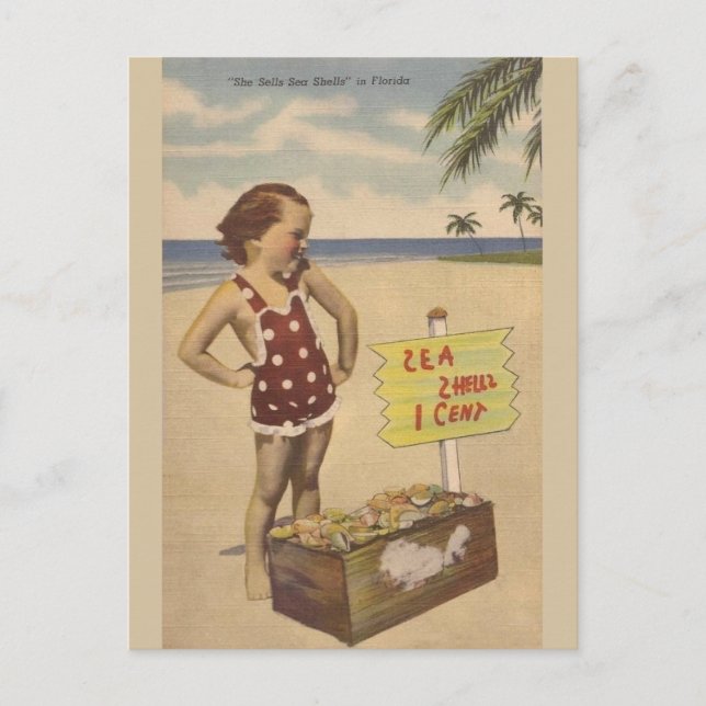 Postal Cartão de Posto Vintage Sea Shells Florida (Frente)