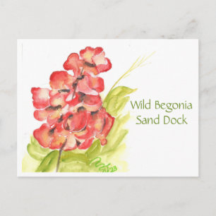 Postal Cartão de Posto Wild Begonia