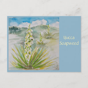Postal Cartão de Posto Yucca Soapweed