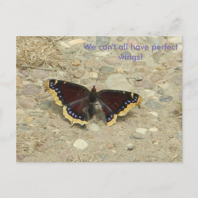 Postal Cartão de Potência Wing quebrado (Frente)