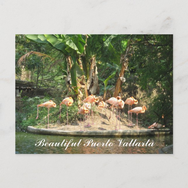 Postal Cartão de Puerto Vallarta (Frente)