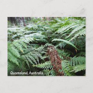 Postal Cartão de Queensland Austrália