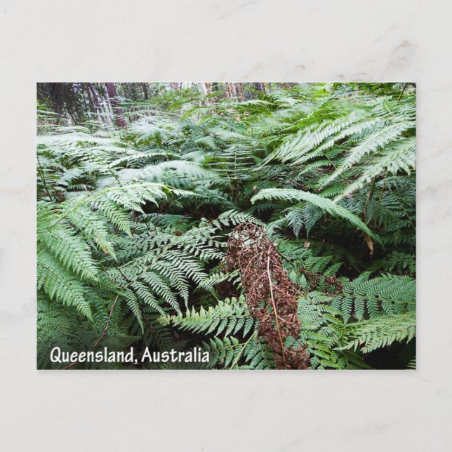 Postal Cartão de Queensland Austrália (Frente)