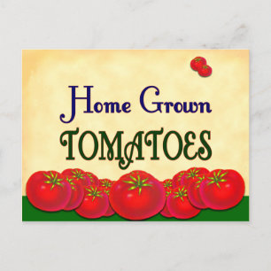 Postal Cartão de Receita Personalizada para Tomate Homegr