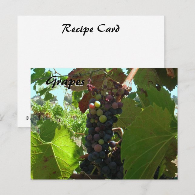 Postal Cartão de Receita - Uvas na videira (Frente/Verso)