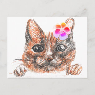 Postal Cartão de saudação de Primavera Cat