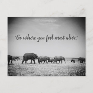 Postal Cartão de Saudações de Gerações de Elefantes