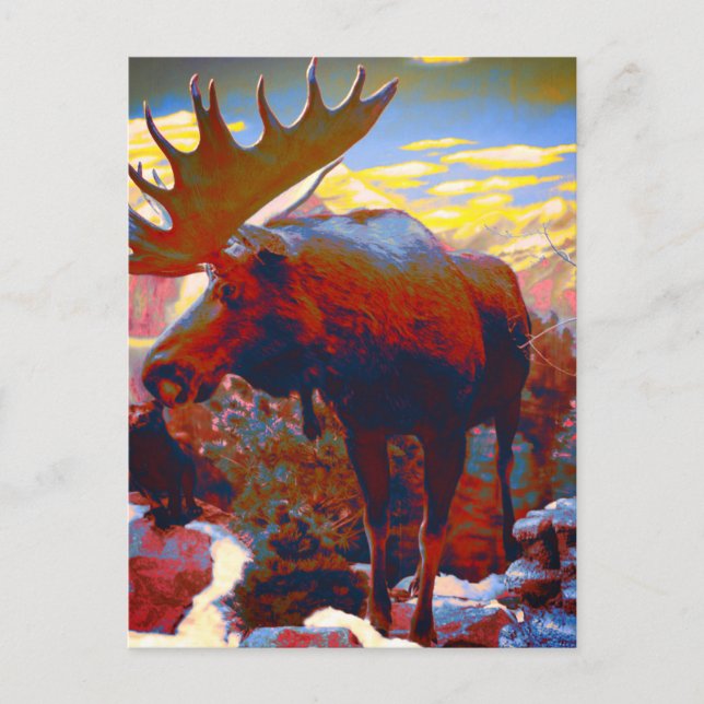Postal Cartão de Souvenir Park City Moose (Frente)