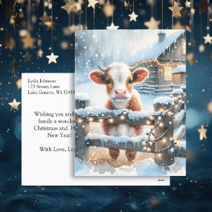 Postal Cartão de Vaca Festivo Festivo Festivo, Festivo, P