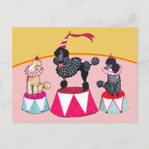 Postal Cartão do ato de circo das irmãs da caniche