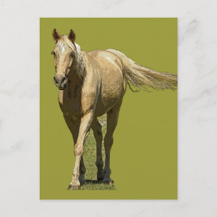 Postal Cartão do cavalo do Palomino