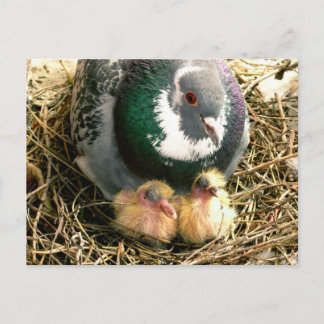 Postal Cartão do dia das mães