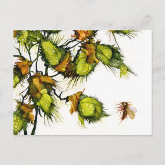 Postal Cartão do "escuteiro" por JAC