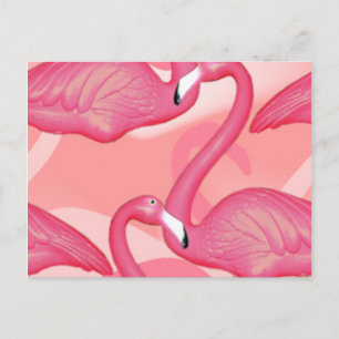 Postal Cartão do flamingo