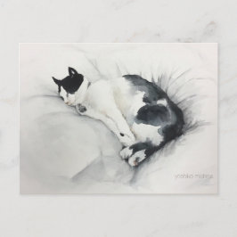 Postal Cartão do gato