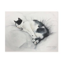 Cartão do gato