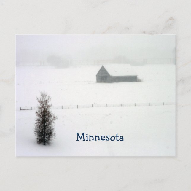 Postal Cartão do inverno de Minnesota (Frente)