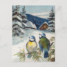 Postal Cartão do inverno do vintage com pássaros