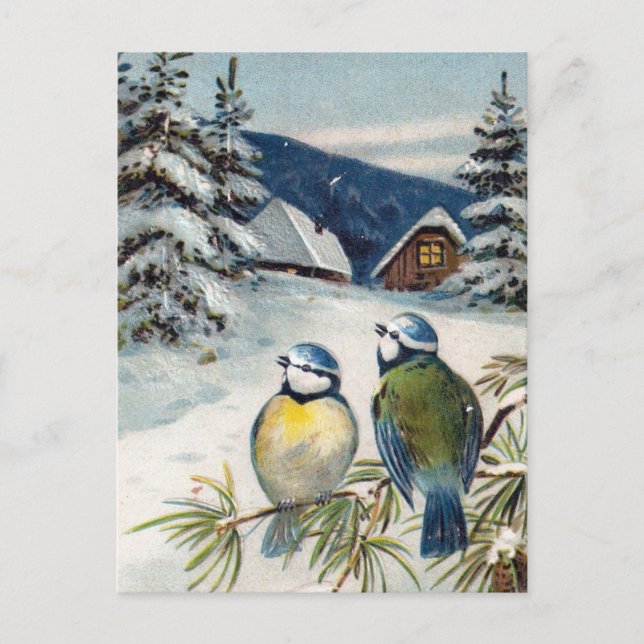 Postal Cartão do inverno do vintage com pássaros (Frente)