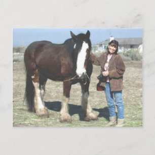 Postal Cartão do Mustang-Espírito