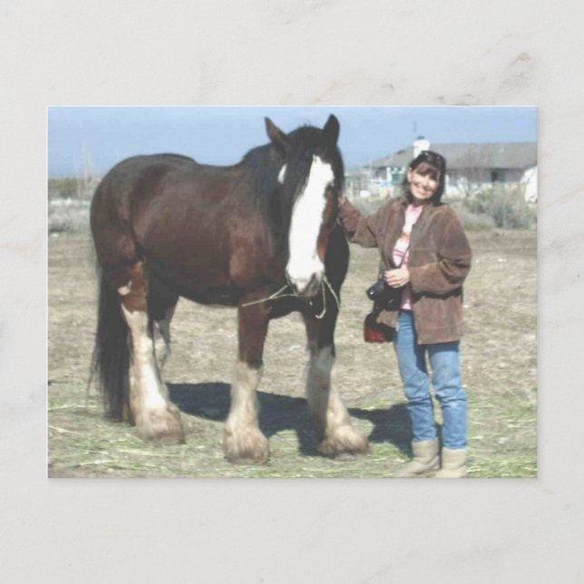 Postal Cartão do Mustang-Espírito (Frente)