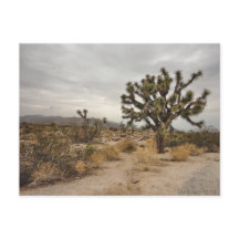 Cartão do parque nacional de árvore de Joshua