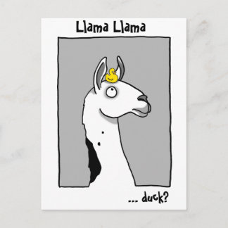 Postal Cartão do pato do lama do lama