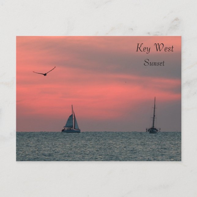 Postal Cartão do por do sol de Key West (Frente)