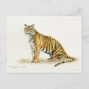 Postal Cartão do tigre de Bengal