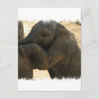 Cartão Elefante para Bebês