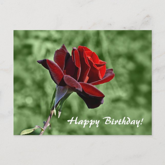 Postal Cartão Floral Rosa Vermelho Feliz Aniversário  (Frente)