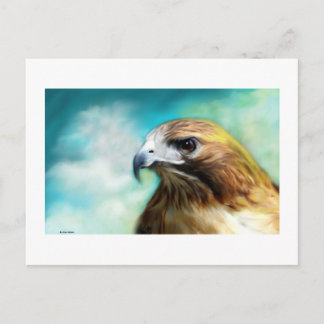 Postal Cartão Hawk Red Tail