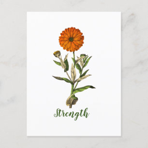Postal Cartão Inspiracional de Força Marigold Personaliza