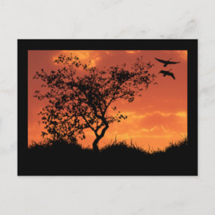 Postal Cartão Inspiracional Um