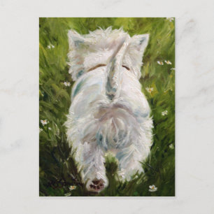 Postal Cartão ocidental de Terrier das montanhas de