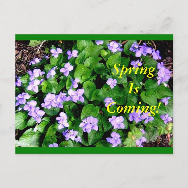 Postal Cartão para o primavera (Frente)