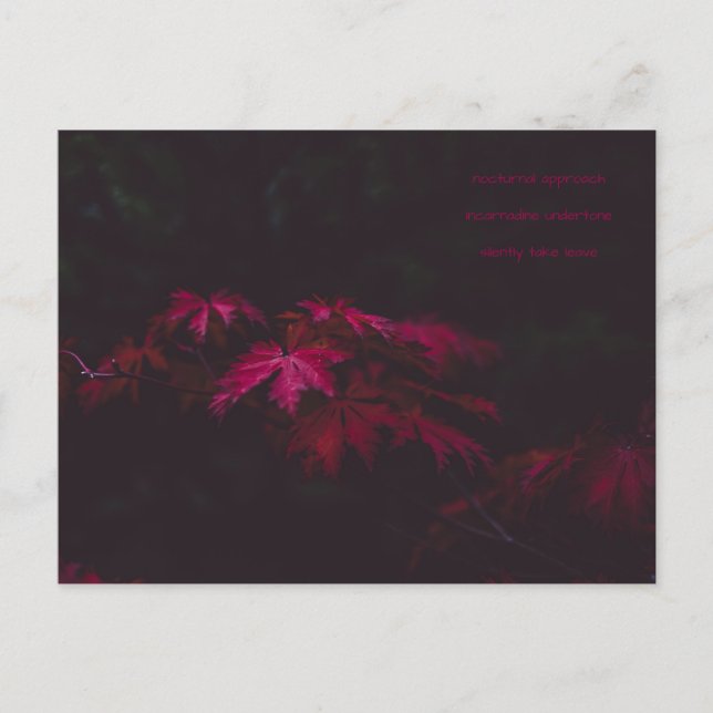 Postal cartão poesia (Frente)